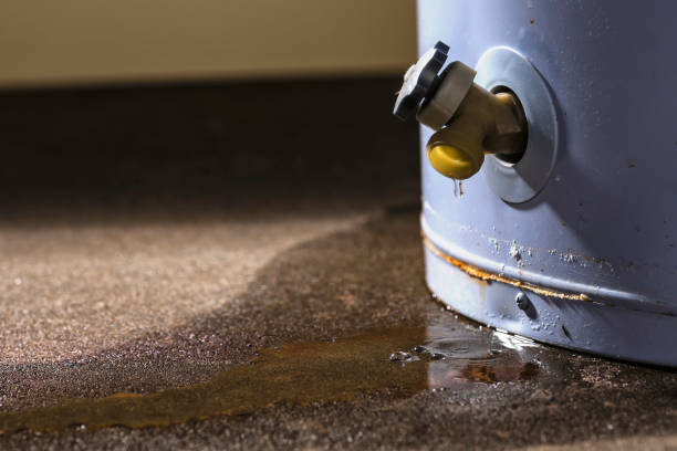 Best Crawl Space Water Damage Solutions in Medina, TN